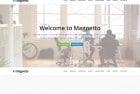 Magnetto